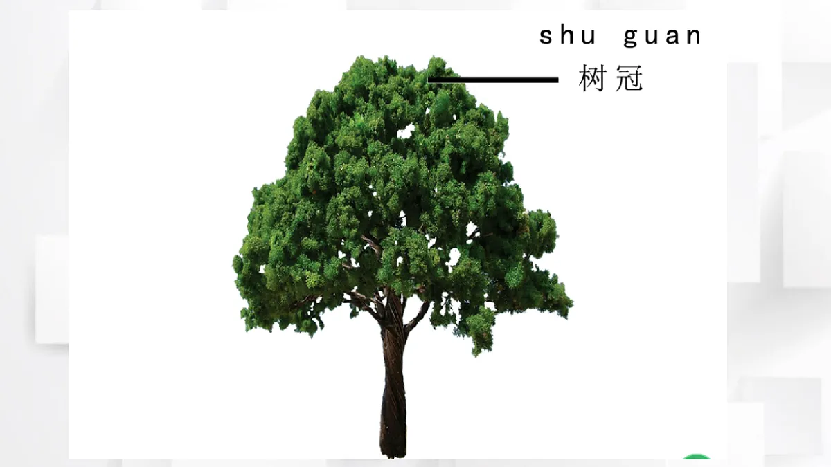 17584651第6页
