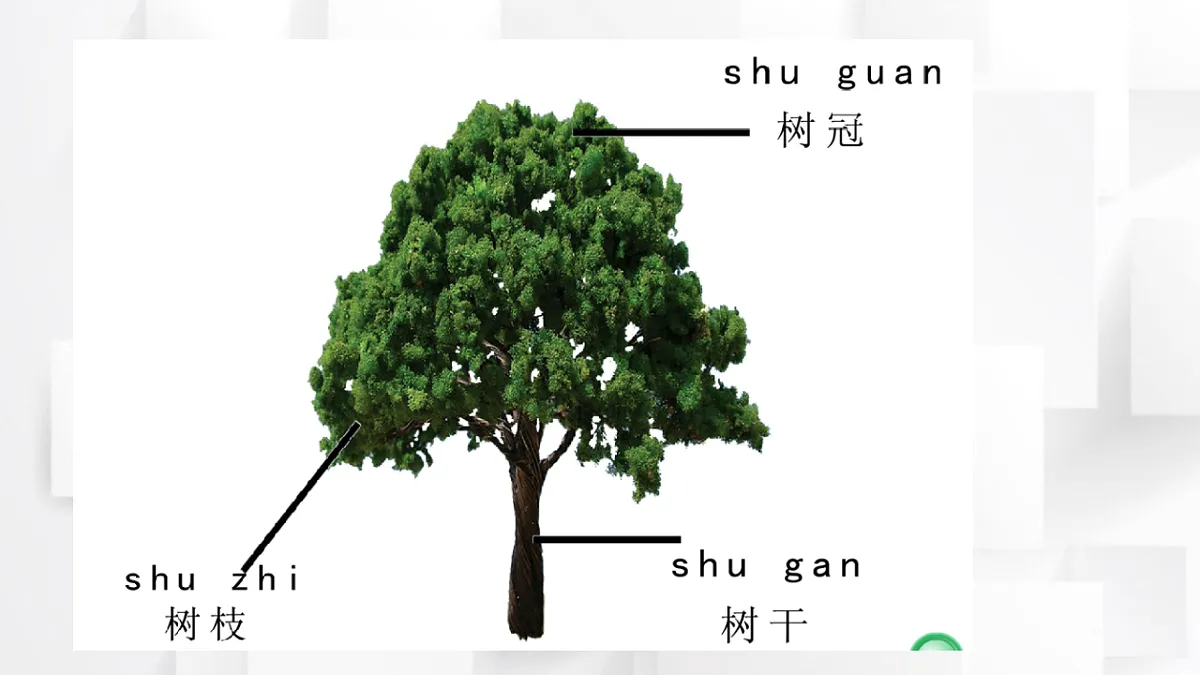 17584651第8页