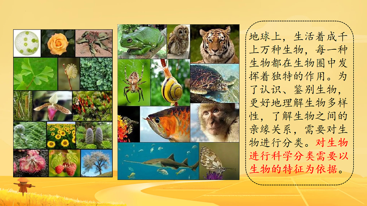 17584835第1页