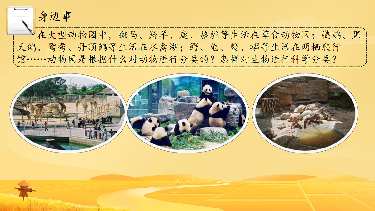 17584835第4页