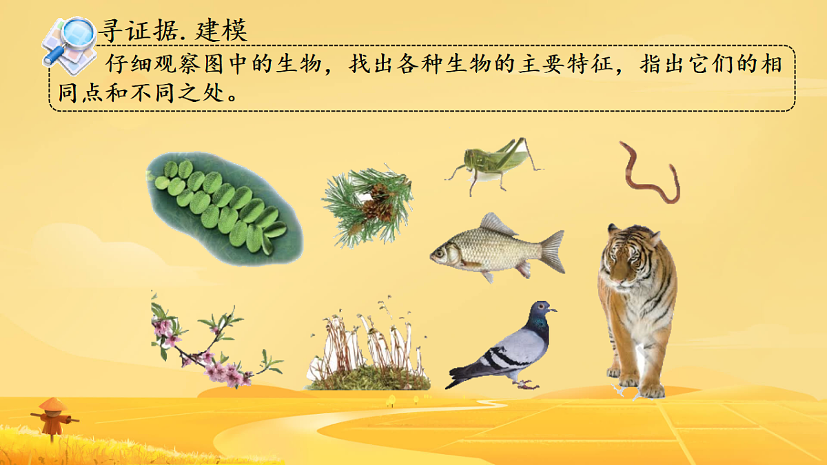 17584835第5页