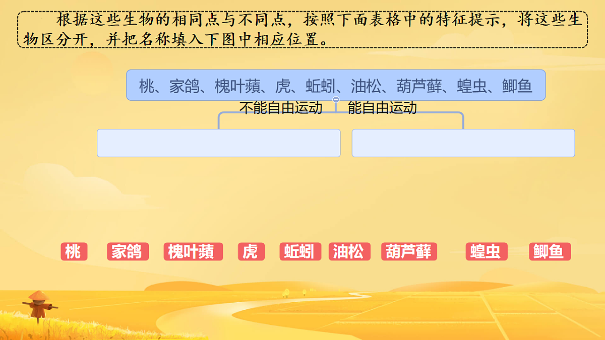 17584835第6页