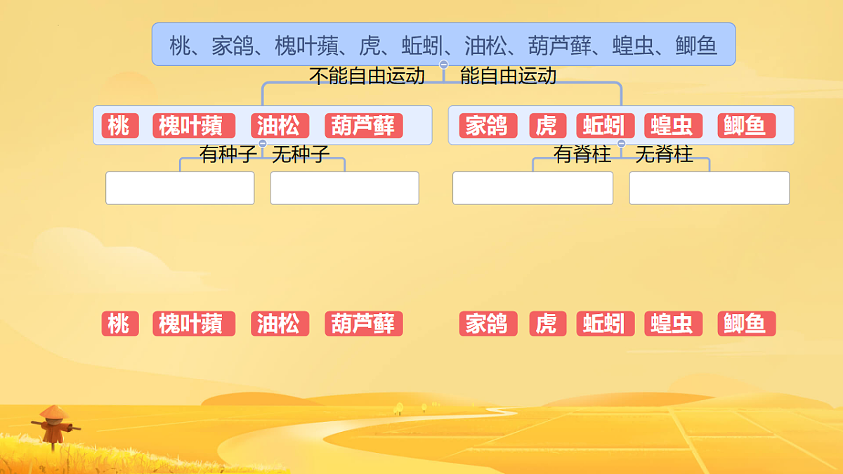 17584835第7页