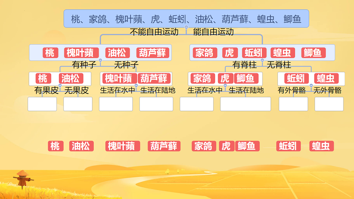 17584835第8页