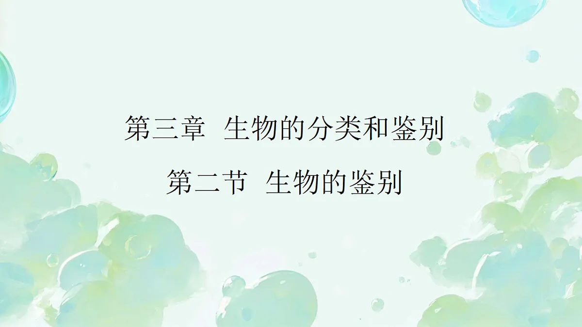 17584836第1页
