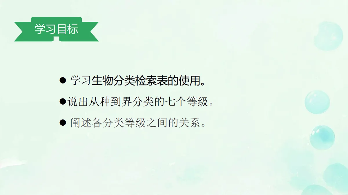 17584836第2页