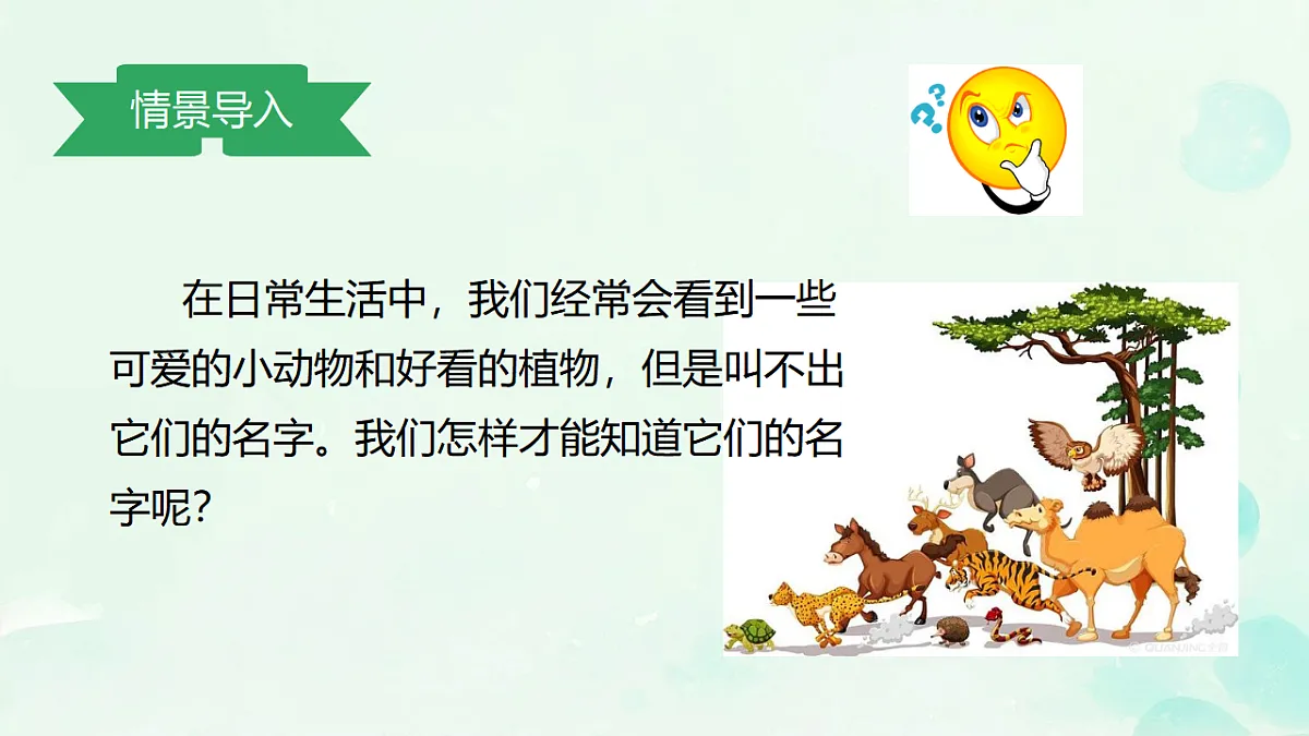 17584836第3页