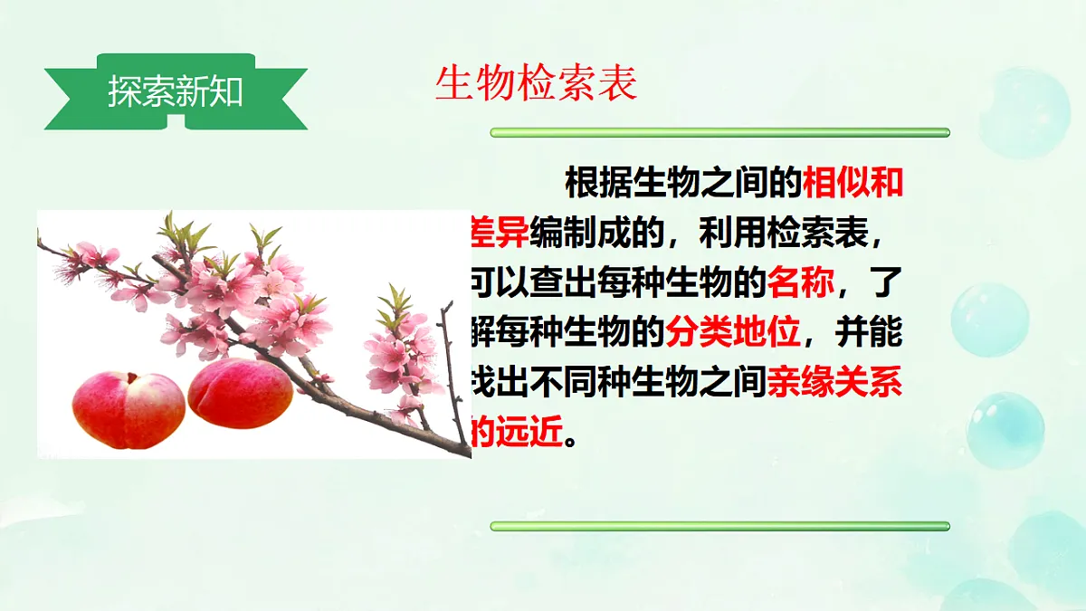 17584836第5页