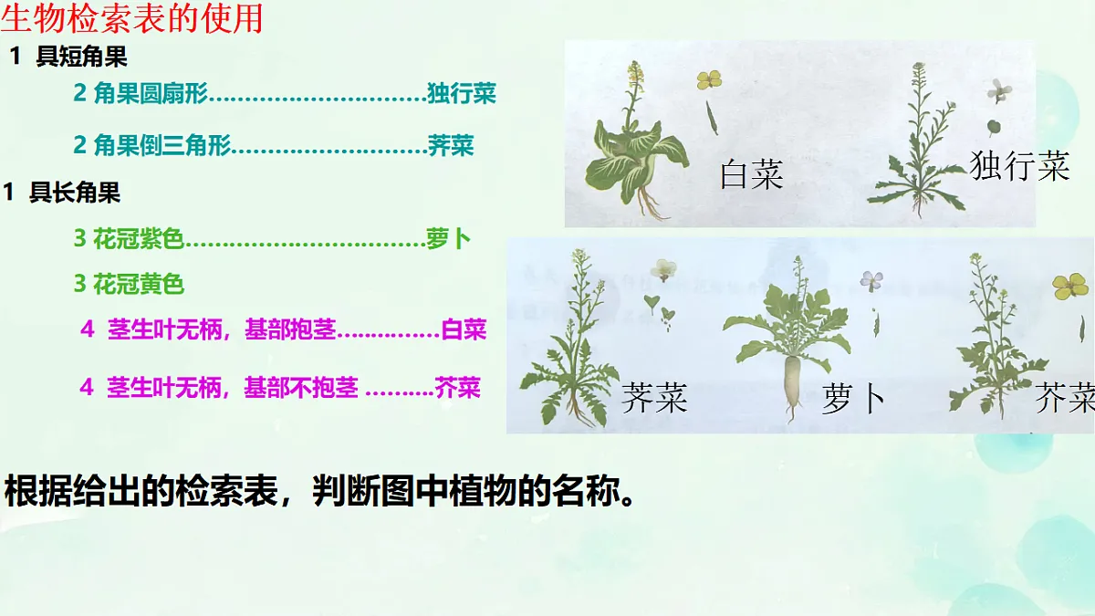 17584836第6页
