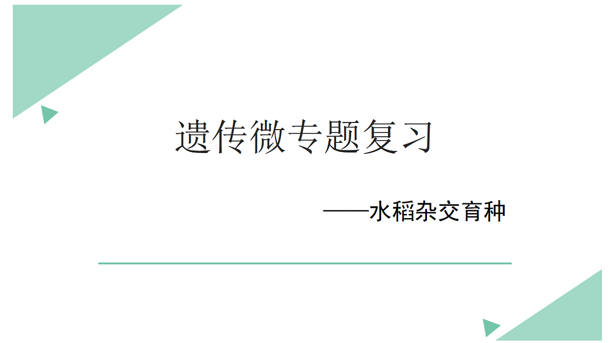 17584840第1页