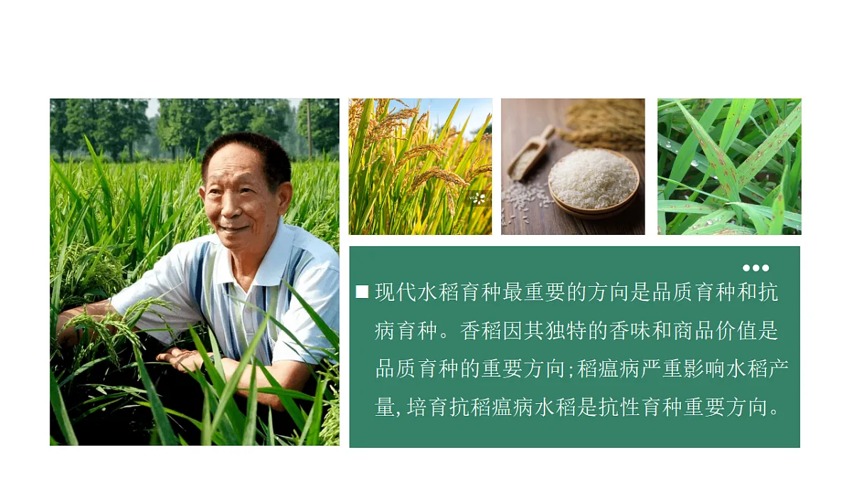 17584840第2页