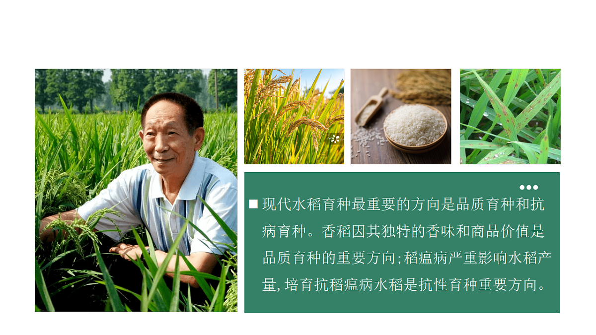 17584840第2页