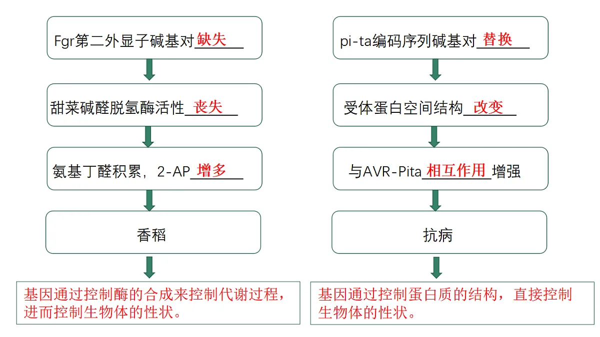 17584840第4页