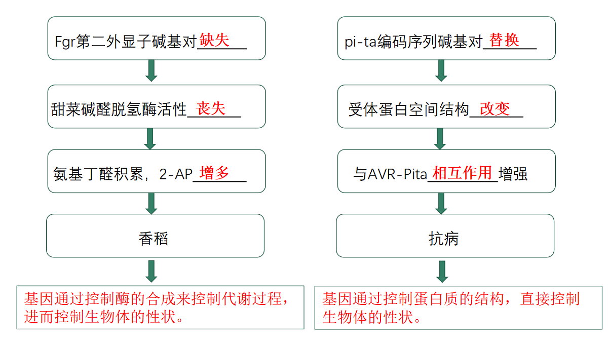17584840第4页