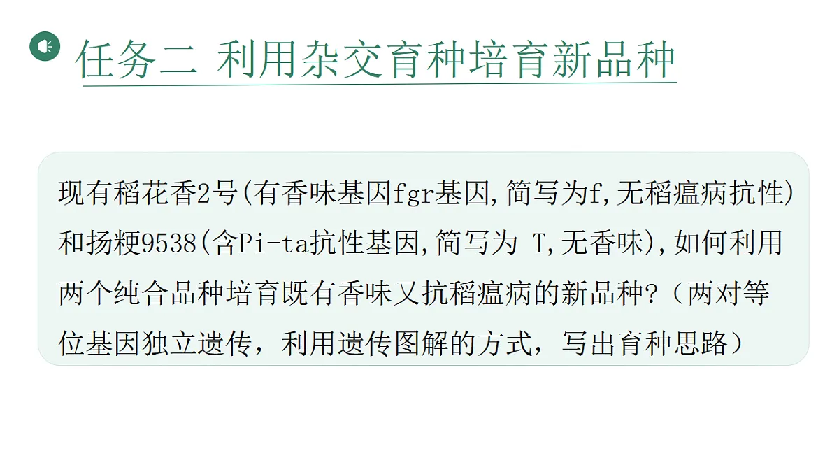 17584840第5页