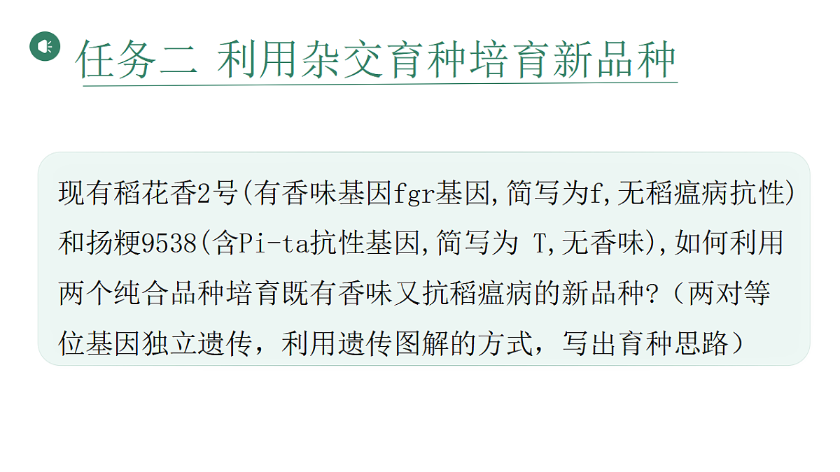 17584840第5页