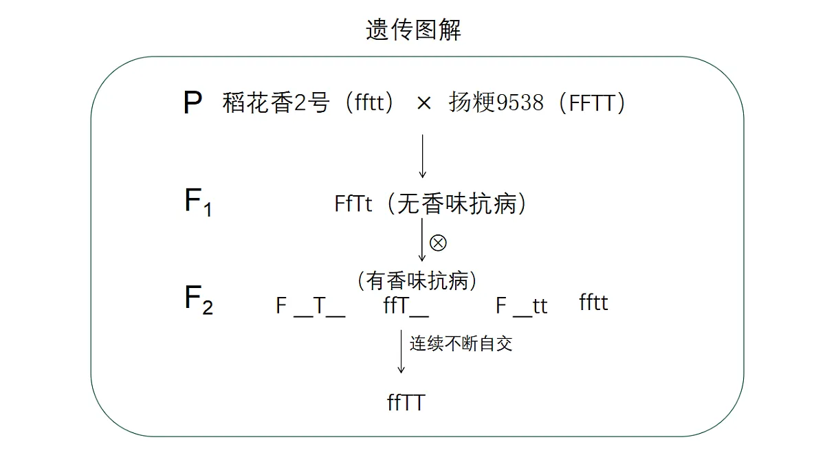 17584840第6页