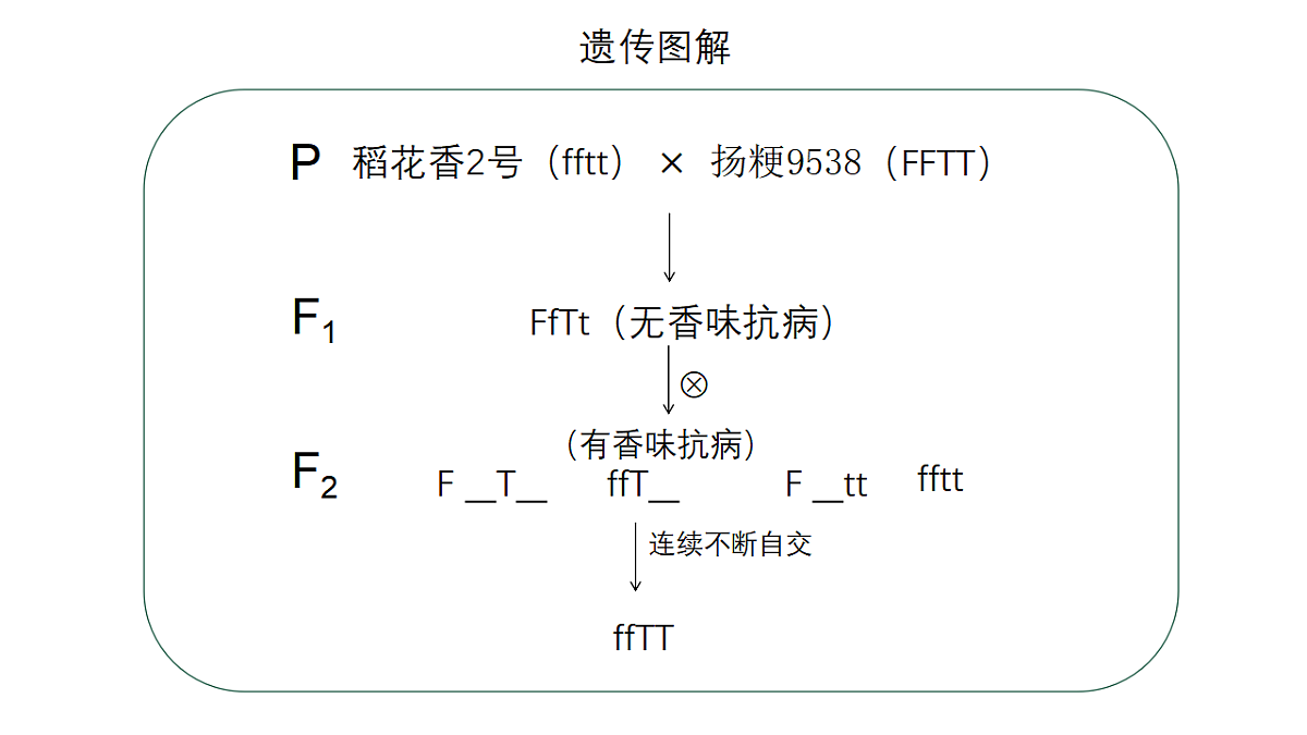 17584840第6页