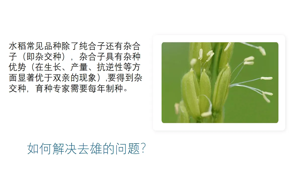 17584840第7页