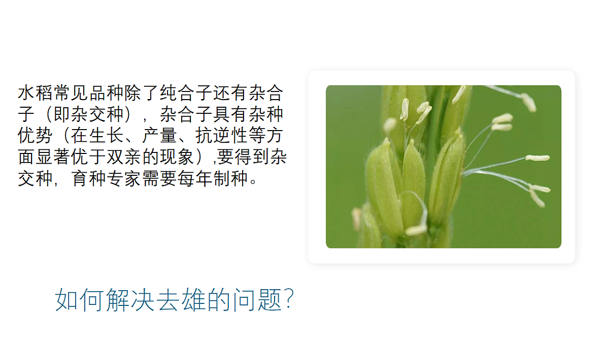 17584840第7页