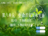 人教版（2024）生物八年级下册 6.3.3 生物进化的原因（课件+教案）