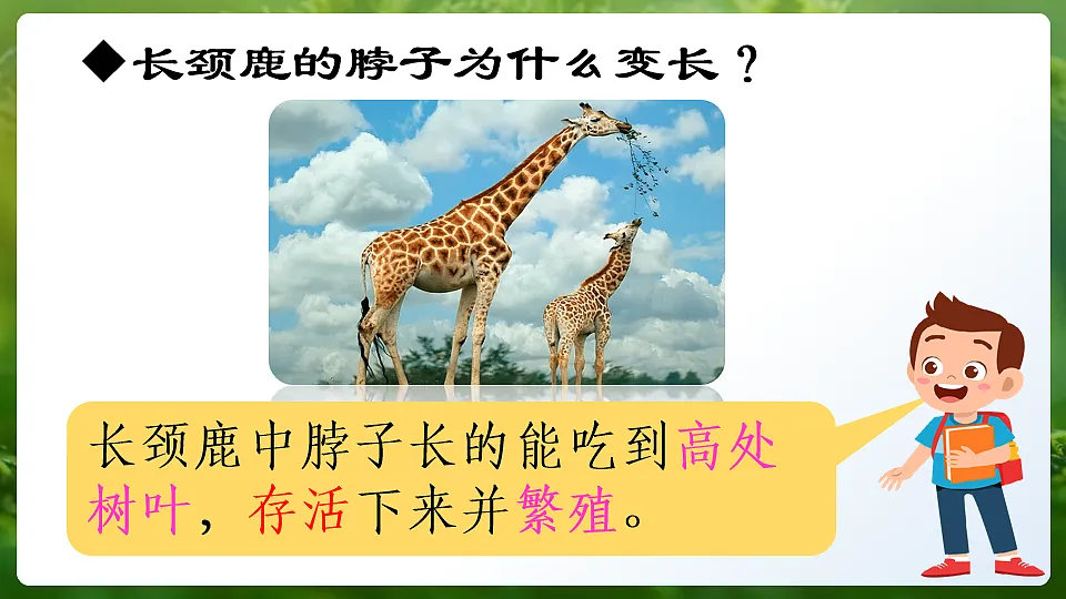 第1节 进化与生物多样性 课件第6页