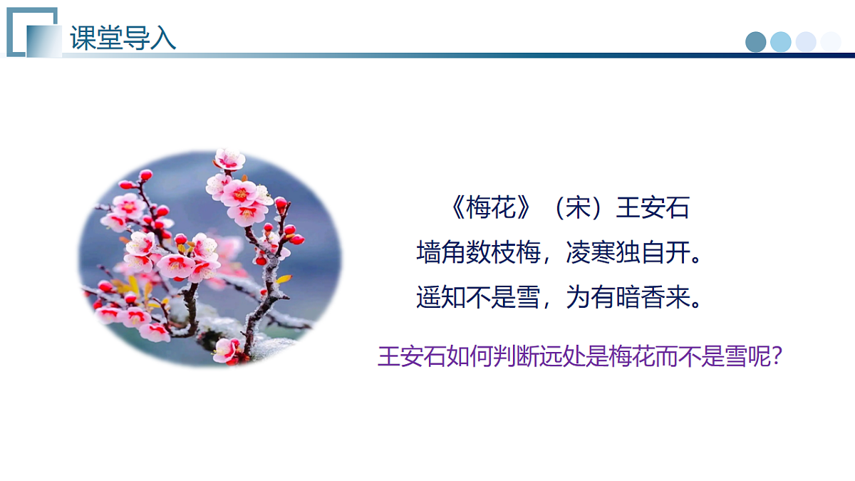 17585581第4页