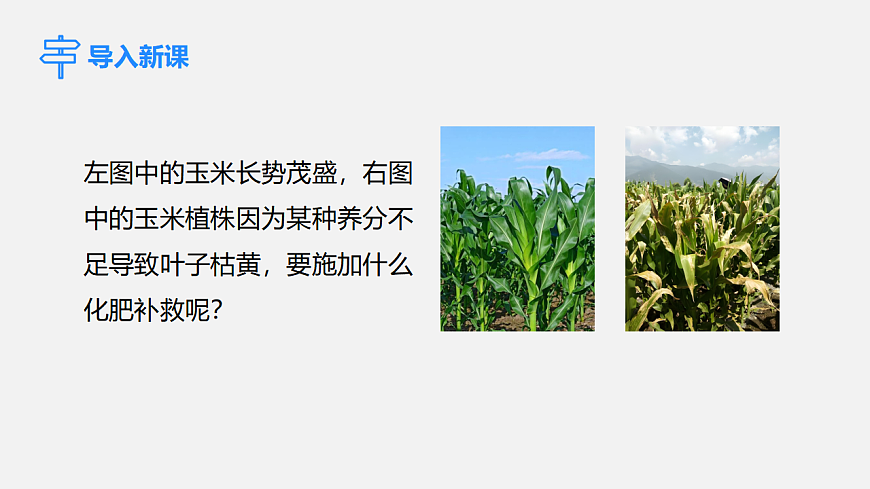 17586128第3页