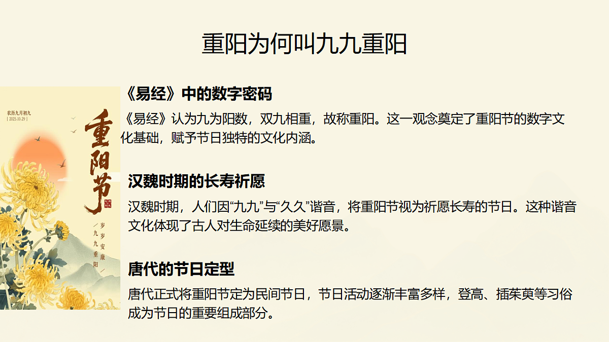 17586185第3页