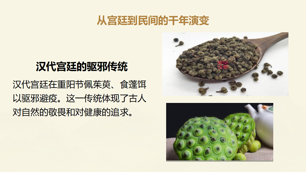 17586185第5页
