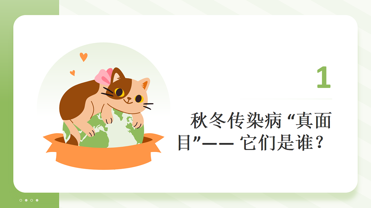 17586208第4页