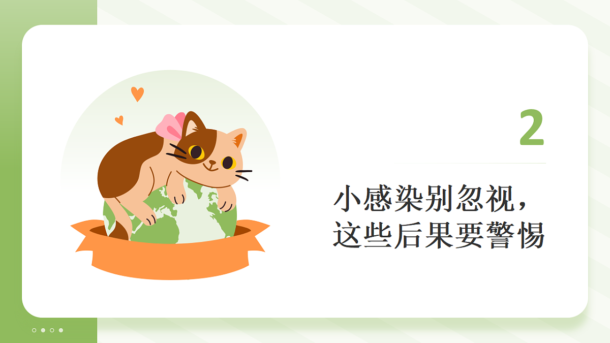 17586208第7页
