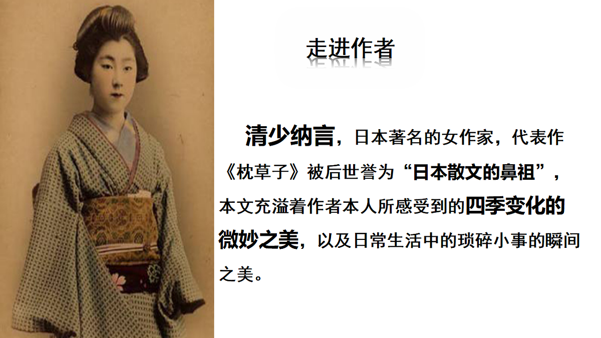 17586281第5页
