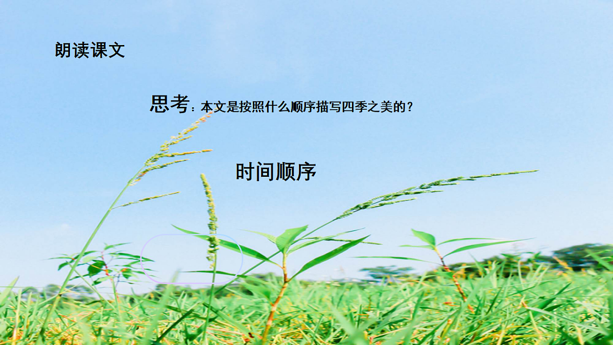 17586281第7页