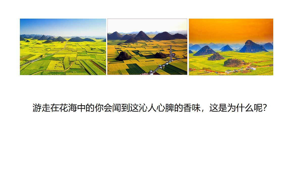 17587138第1页