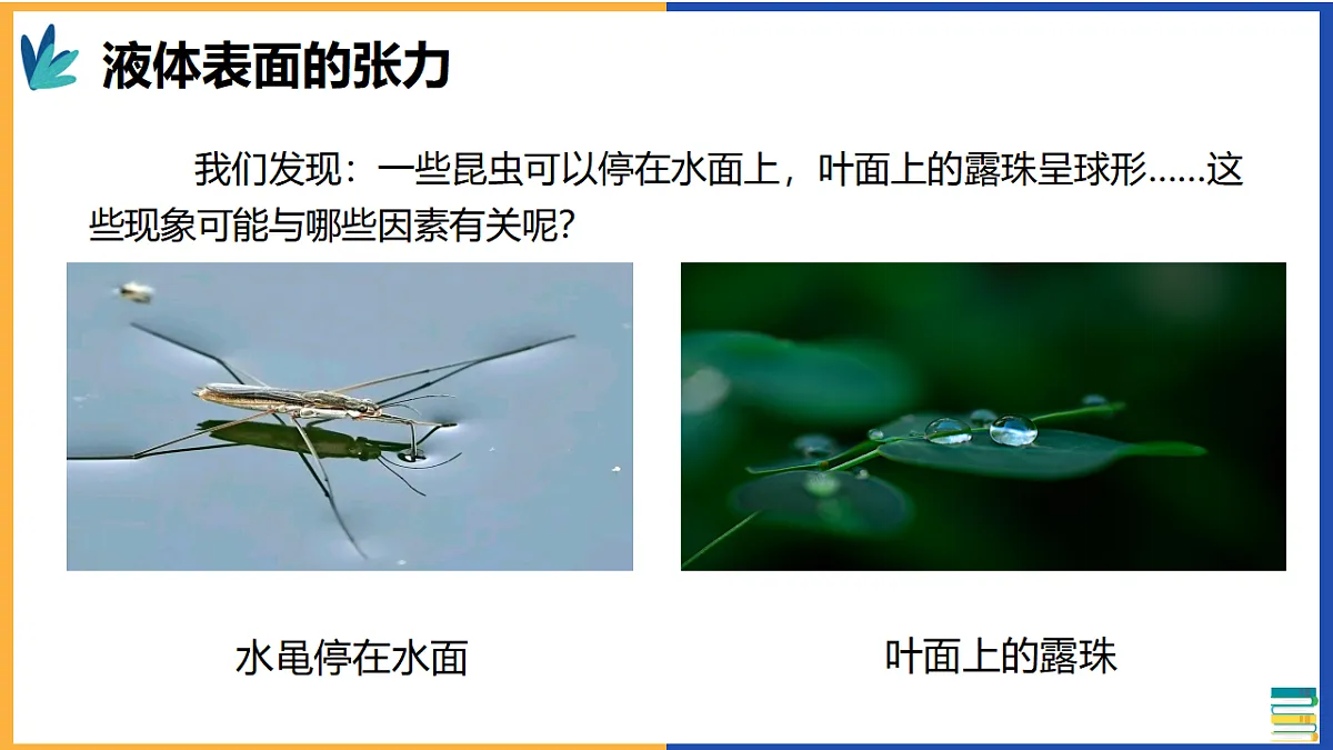 17587143第4页