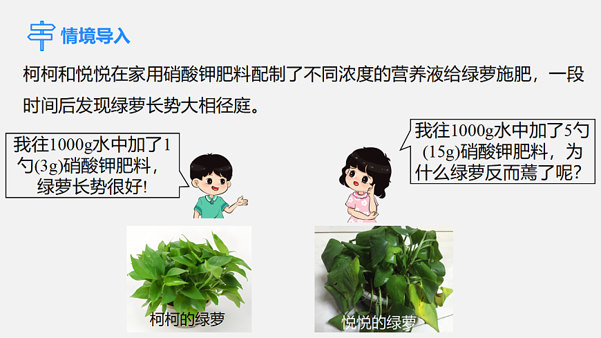 17588698第3页