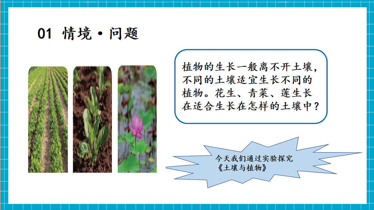 4.18 土壤与植物（教学课件）第5页
