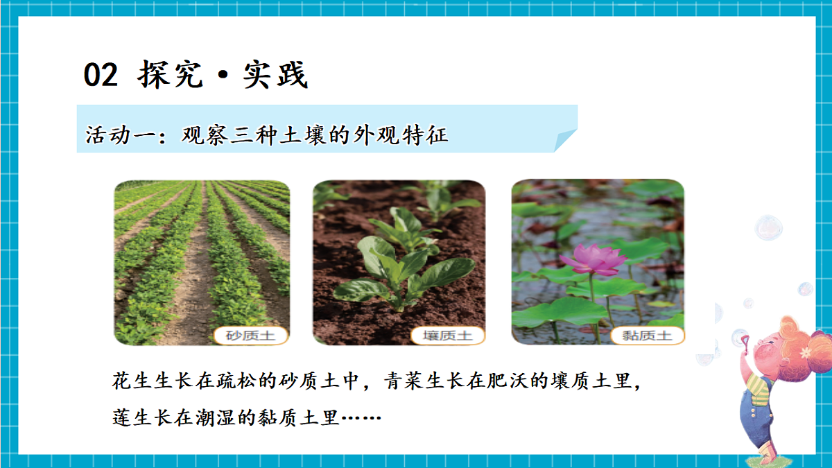 4.18 土壤与植物（教学课件）第6页