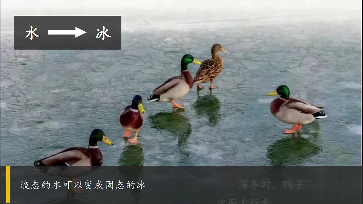 第11课 水的三态 课件(共31张PPT)第3页