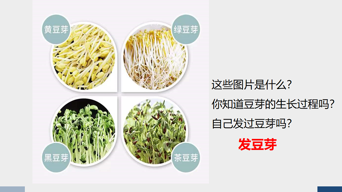 17589711第4页