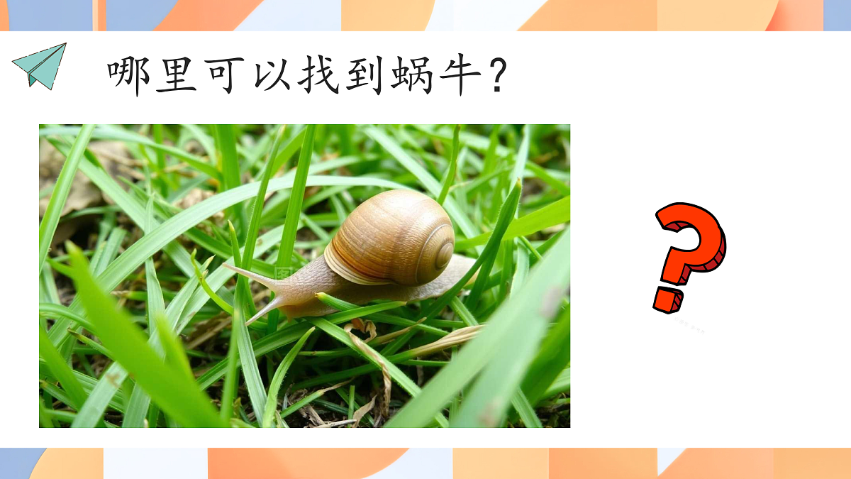 17590194第2页