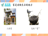 教科版小学科学一年级下册 2.3 给蜗牛建个“家” 课件