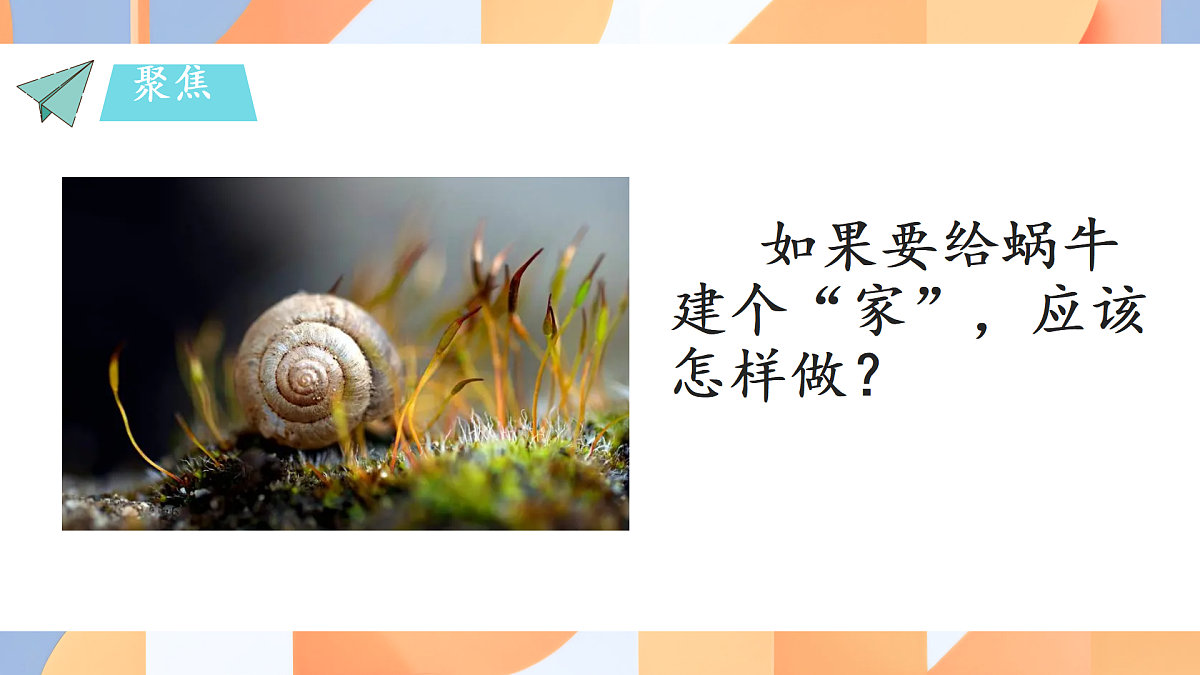 17590194第5页