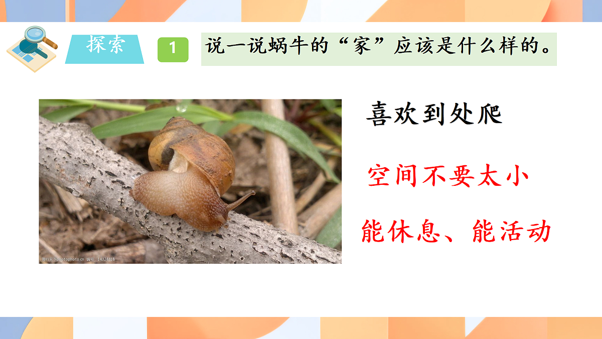 17590194第7页
