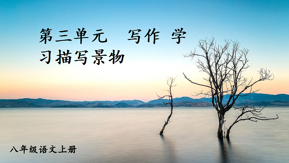 17592202第1页