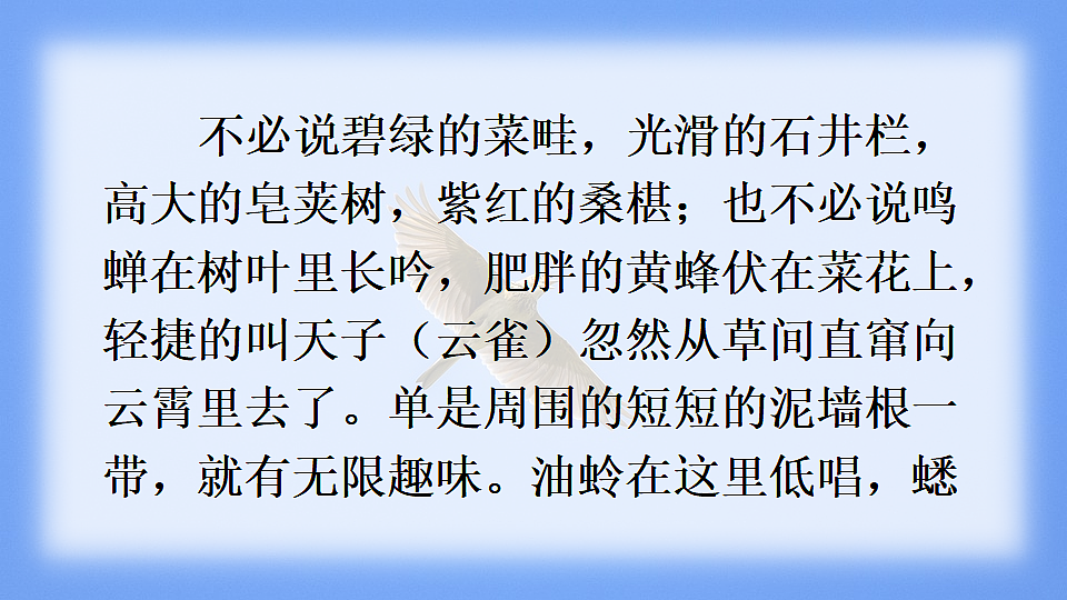 17592202第8页