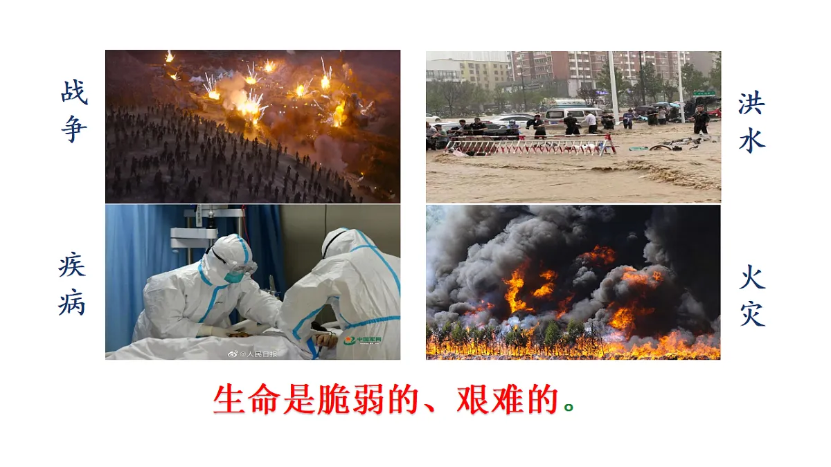 17592412第3页