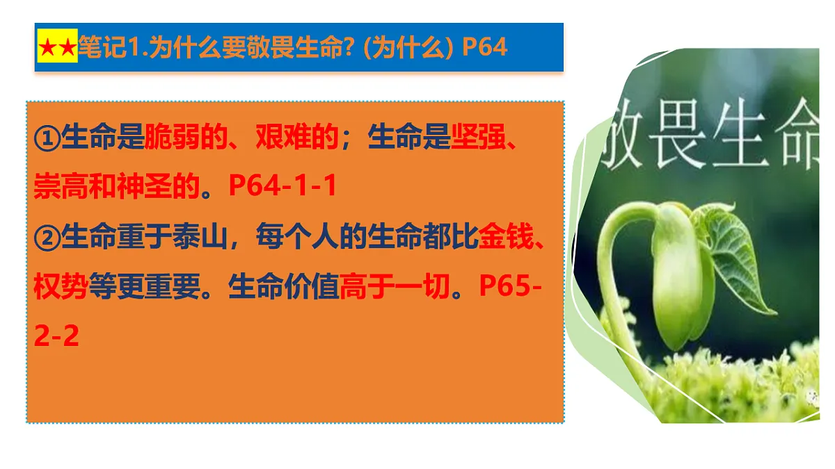 17592412第5页