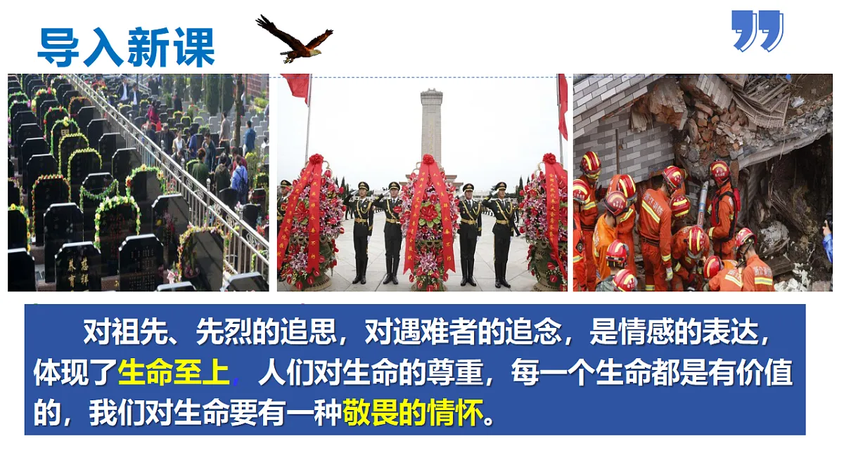 17592412第7页